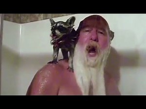 RidicuList: Man fights for pet raccoon