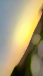 193K views · 2.2K reactions | Piya suna ❤️ . . . . . . . . . . . . . . . #khortha #khorthasong #khorthareels #khorthasong❤️ #khorthavideo #explore #explorepage #trendingreels #trend #viral #foryou #foryoupage #instagram | Neha Gupta | Facebook