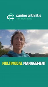 1 out of 7: Multimodal Management Welcome to a new series where Hannah talks about Multimodal Management and what it means for our arthritic dogs. We take a little dive throughout this mini-series to chat about the MULTIPLE modes available to us to positively influence pain management in our dogs. | Canine Arthritis Management