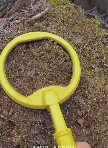 Biggest Gold Find Under Stone - Coastal Treasure Search