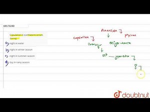 Copulation in earthworm occurs during