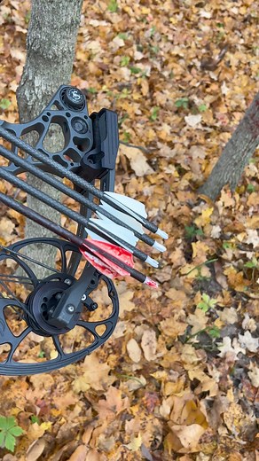 Ready for fall colors! #bigbucks #illinois #scouting #guidedhunts #outfitter #hunting #hunt #midwestwhitetails #antlers #bowhunt #deerhunt #midwest #bigdeer #whitetails #topflightoutfitters | Willow Creek Whitetails