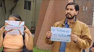 1.8K views · 35 reactions | El Burro Cebra es un icono de Tijuana. Sin embargo, la especie está en peligro de extinción. Un pequeño museo busca preservar y reconocer la historia de este ejemplar tan importante para la ciudad. #recuentoestrellatv | Noticias 62 | Facebook