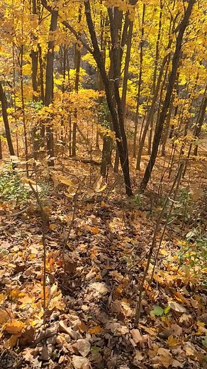 Toba qabool ho! | Humara Pakistan