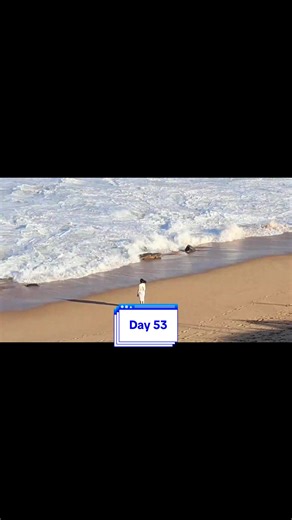 Drew Jolé on TikTok