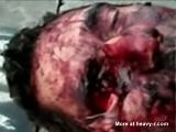 Machete wound in the face