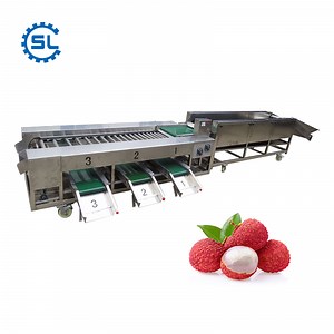 [Hot Item] High-Efficiency Sorting Machine for Cherry Tomatoes and Longan