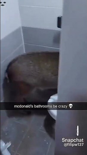 McDonald’s bathrooms be crazy 💀