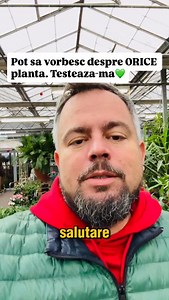 Am intrat in Flower Time si am pus mana pe primele plante care mi-au iesit in cale. La intamplare. Cycas, Cordyline, Euforbia pulcherima. Trei plante complet diferite, dar pentru mine toate au o poveste. Cand lucrezi peste 14 ani in teren, cand vezi mii de gradini si sute de proiecte, informatia nu o cauti, o ai. Ridic o planta si stiu imediat ce cere, ce o deranjeaza, unde o pui, ce sol ii trebuie si ce greseli o pot opri. Asta e experienta reala, nu teorie citita in graba. Alegi tu planta. Ori