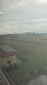 1.1K views · 221 reactions | Have a good weekend everyone | Merian Armentano | Facebook