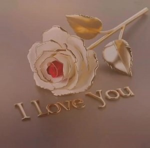 Julio Iglesias No me vuelvo a enamorar 👑Music 👑 | Music