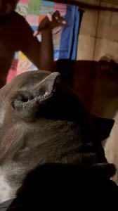 Moose gets serious about his daddy. | Patrick Roark