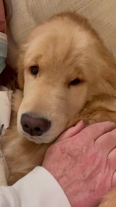 Snuggling! | Mayor Max