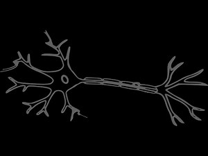 back pain relief nerve ablation