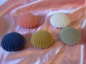 Velvet Shell Box - Shell Jewelry Box - Cute Gift Box - Gift Box for Necklace - Etsy