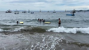 11 reactions | Sunday Funday | The Monkey Farm | Facebook