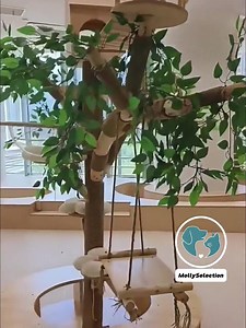 Custom Wood Cat Tree With Bench - Rustic Natural Wood Cat Furniture, Floor Cat Shelves Climbing Logs, Large Cat Castle Sisal Scratcher Post - Etsy Australia