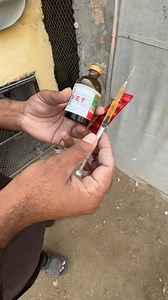 990K views · 15K reactions | Paralysis treatment of poultry birds #paralysis #treatment #poultry #minizoo #viralreel | Ch Shani Vlogs | Facebook