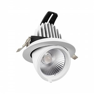 [Hot Item] High Quality Emergency Light Ceiling Mounted LED Downlight Light