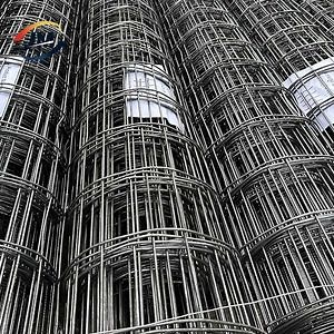 [Hot Item] Reinforcement Mesh Rebar Mesh Concrete Wire Mesh Roll Sizes