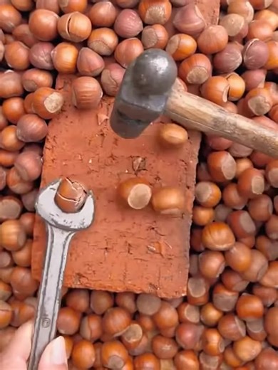 Best walnut opening hacks you need to know 樂 | Childhood cartoons | Facebook