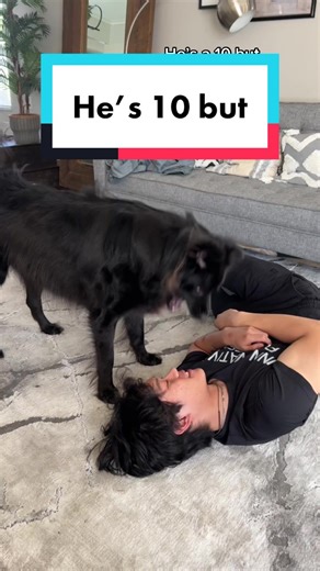 Mitz Tiang on TikTok
