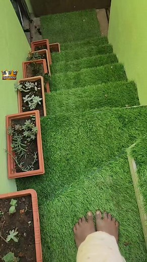 Steps Makeover Reason #AJ_Terrace_Garden #askjhansi | ASK Jhansi