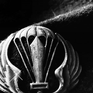 40 reactions · 27 shares | "Piuttosto che fermarsi a mezza via, vale meglio non cominciare."⚡ #terraecielo | terraecielo | Facebook