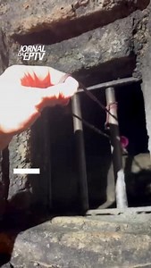 167K views · 217 reactions | A Guarda Municipal apreendeu, na noite...