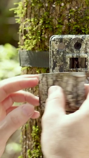 2K views · 20 reactions | Scrape. Camera. Action  歷 Who’s been gettin’ that pre season labor done? #reels #september #labor #wtw #whitetail #tinks | Tink's | Facebook