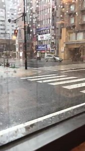 huge typhoon is approaching kyushu saluting deer, video of my channel↓ https://youtu.be/cW4WKCttC2s | Japan Tomo