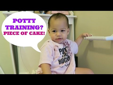 HOW TO POTTY TRAIN IN LESS THAN A DAY! INSTRUCTIONAL VIDEO