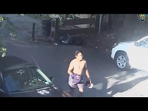 Woman attacked, nearly raped in Queens park: NYPD