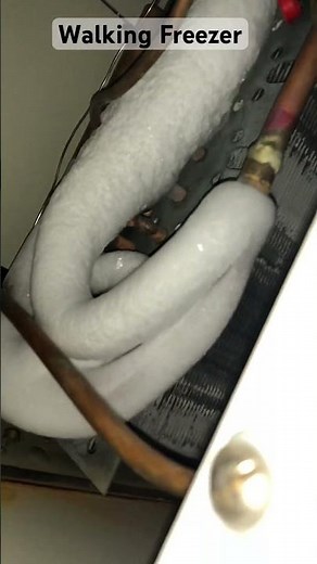 Walk in Freezer troubleshooting | walk in freezer ice build up