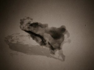 Volume Render | Visual Lab