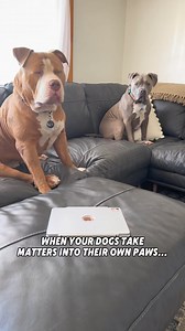 3.1K views · 38 reactions | If you’re not already familiar with Lee...