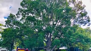 3 comments | MOVIE NIGHT POLL | Redeemer's Annual P&F Movie Night on...