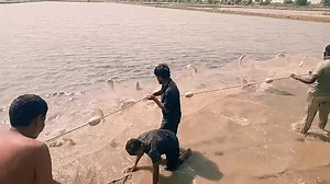 Honda motorcycle per Aane Wale Logon Ne rever per fishing ki aur allied ke petrol pump par khai | Muaaz Ullah