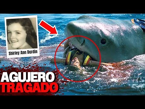 El Ataque De Tiburón Más Brutal De La Historia
