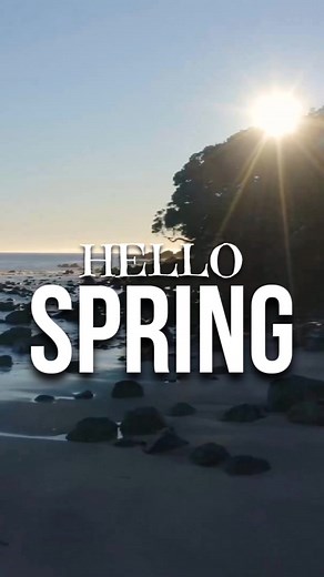 We have been getting some epic weather here on the Coromandel. Come and enjoy. #hotwaterbeach #hotwaterbeachtop10 #spring #beach #sun #sunrise #nz #goodforyoursoul | Hot Water Beach TOP 10 Holiday Park