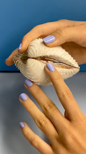 Two of our teen interns helping out in the Invertebrate Zoology...