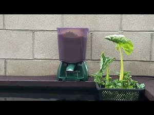 Pond Update and P7000 auto fish feeder