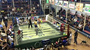 18 reactions | Absolute MMA Thailand on Reels | Facebook