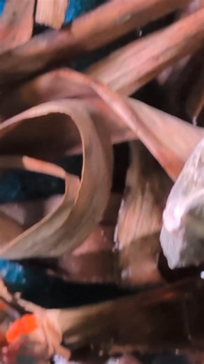 4.7K views · 42 reactions | Tomato Vampire Crab (Geosesarma “Red Ruby”) in stock again, these are a super bright species, that would be a stand out in a terrarium  | Riverside Aquaria | Facebook