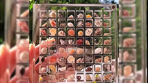 Acrylic Magnetic Seashell Display Box, Seashell Display Box, Double-Sided Magnetic Seashell Display Box, Clear Acrylic Diamond Gemstone Jewelry Storage Display Box（36 Grids ）