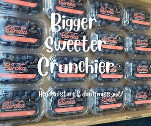 Ready. Set. GO!!! Get down to your local Coles to secure your favourite blueberries! Freshly picked and straight to store, our berries are the BIGGEST, Crunchiest and Sweetest blueberries. 🫐🫐💙😍 | Eureka Blueberries