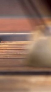 RECIPE SPOTLIGHT: Beer-Marinated Lamb Steaks Grilled Over Herbs And Spices As seen in my book Planet Barbecue. 🌎🍖 Read more and get the recipe via link in bio. | Steven Raichlen