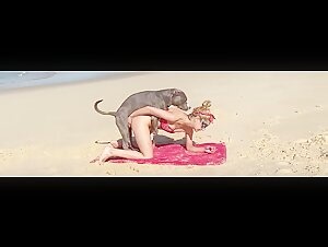 Bitch RAPED by a raging Dog