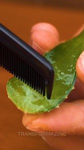 21K views · 54 reactions | Clever Gardening Tricks to Make Your Plants Thrive Like Magic ✨ | Transformazing | Facebook