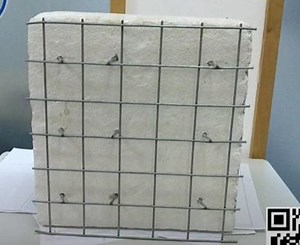 [Hot Item] EPS Panel with Galvanized Mesh Wire Reinforced Welded Wire Mesh